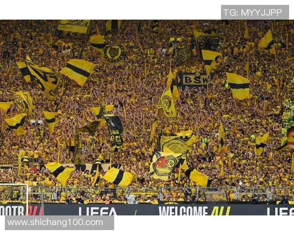 多特蒙德球迷暴力事件引发欧冠禁赛与巨额罚款震动足球界